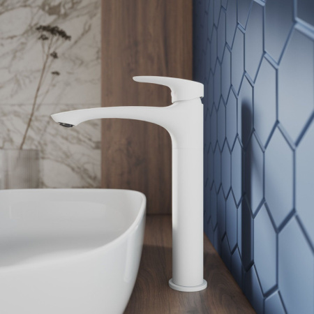 Смеситель для раковины (RORWT01M01)