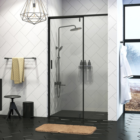 Душевая дверь (100х200) WasserKRAFT Elbe 74P12