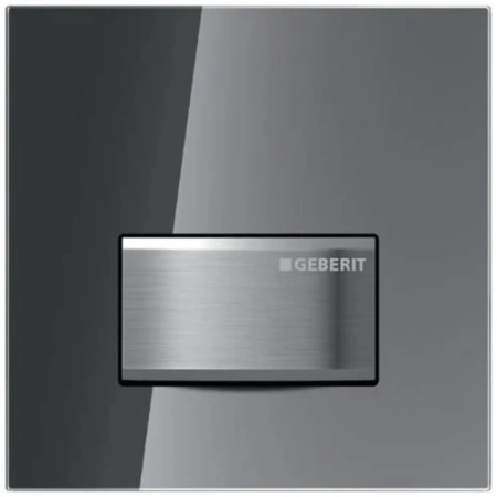 Смывная клавиша Geberit типа 50, для системы пневматического управления смывом писсуара, темно-серый  242.764.JK.1