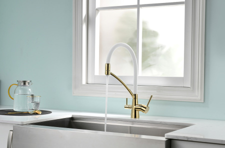 Смеситель для кухни с подключением к фильтру  Paulmark Siеgen Si213111-GW