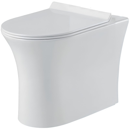 Унитаз приставной BelBagno Ancona BB1224CBR-P