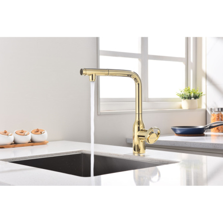 Смеситель для кухни с подключением к фильтру  Paulmark Urban Ur213104-G