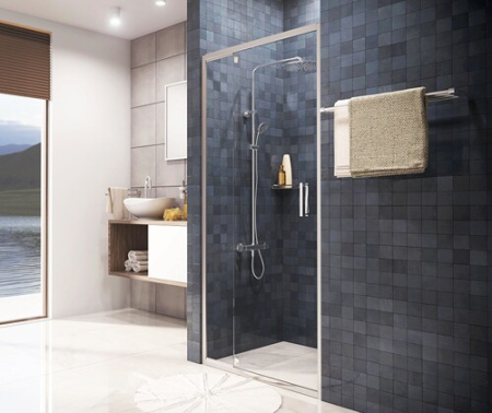 Душевая дверь (110х200) WasserKRAFT Berkel 48P13