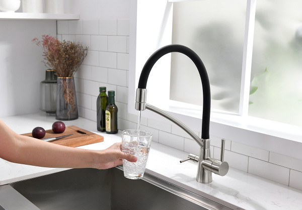 Смеситель для кухни с подключением к фильтру  Paulmark Siеgen Si213111-NI