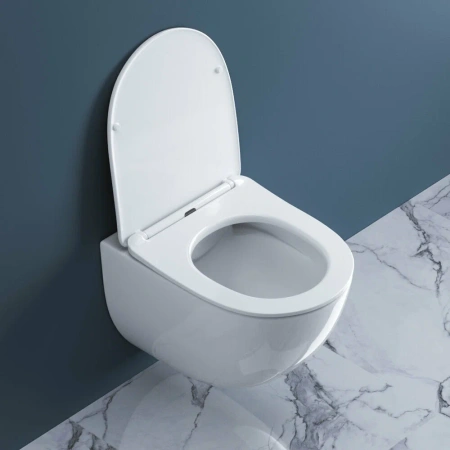 Унитаз подвесной безободковый BelBagno AMANDA BB051CHR без крышки