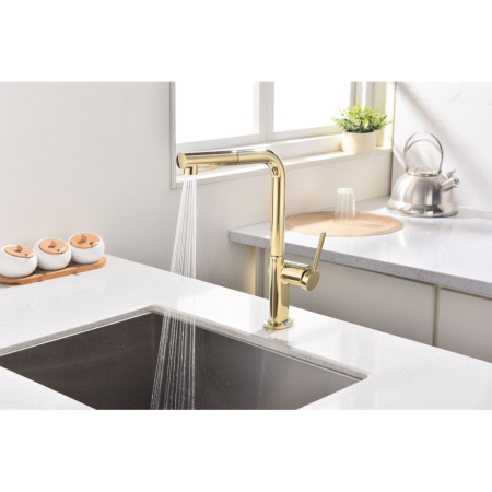 Смеситель для кухни Paulmark Neo Ne214419-G