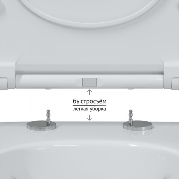 Унитаз Berges Wasserhaus Mascon Rimless 082128