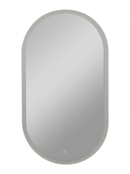 Зеркало с подсветкой (55x100) Continent Delight ЗЛП458