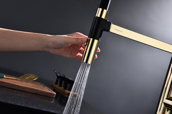 Смеситель для кухни Paulmark Leader Le214101-G