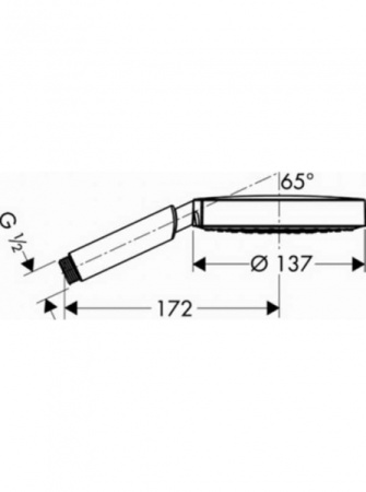 Ручной душ Hansgrohe Raindance 28505000