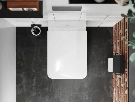 Унитаз подвесной безободковый Hansgrohe CreekTide Q 60203450 без микролифта