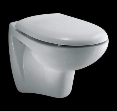 Сиденье и крышка Ideal Standard Oceane P441001