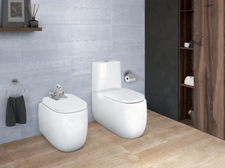 Крышка для биде Roca Beyond Soft Close 806B8200B supralit