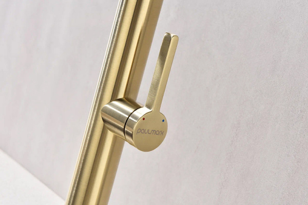 Смеситель для кухни Paulmark Leader Le214101-SBG