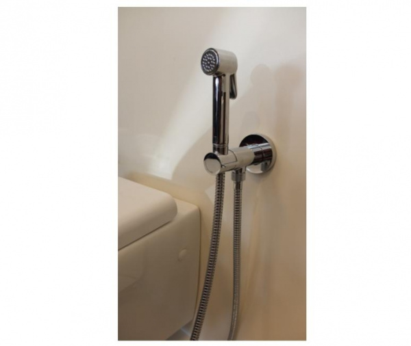 Гигиенический набор с прогрессивным смесителем Bossini Paloma Brass, золото E37005B.021