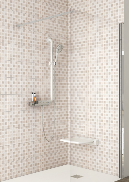 Поручень Roca вертикальный с держателем для душа Access Pro 816956009