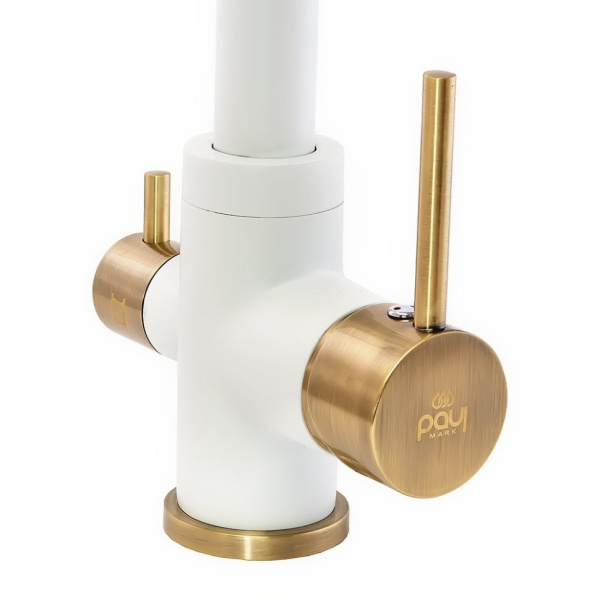 Смеситель для кухни с подключением к фильтру  Paulmark Essen Es213011-431BR