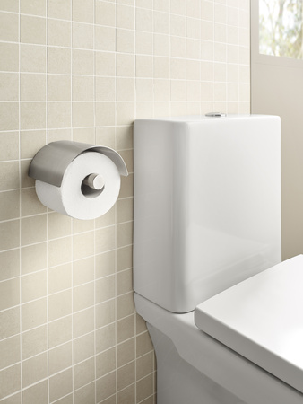 Держатель  туалетной бумаги Roca Superinox 817304002