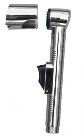 Душевая головка RAV PS0030