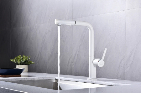 Смеситель для кухни Paulmark Neo Ne214419-431
