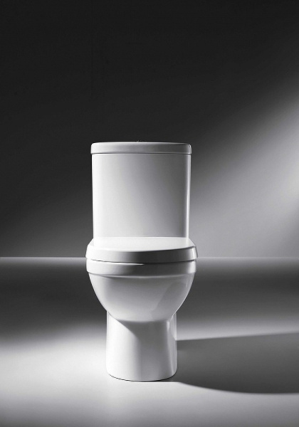 Чаша унитаза Bravat New Moon CX01019UW-PS-RUS