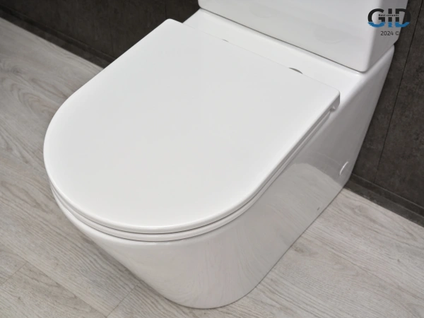 Напольный унитаз с бачком безободковый Gid Tn2189TF