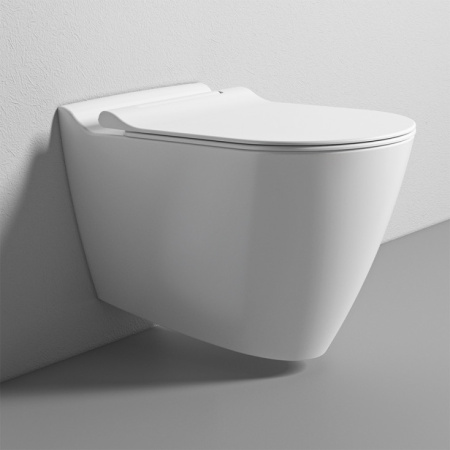 Унитаз подвесной безободковый с функцией биде Bien Mineral MNKA052N1VP1W3000