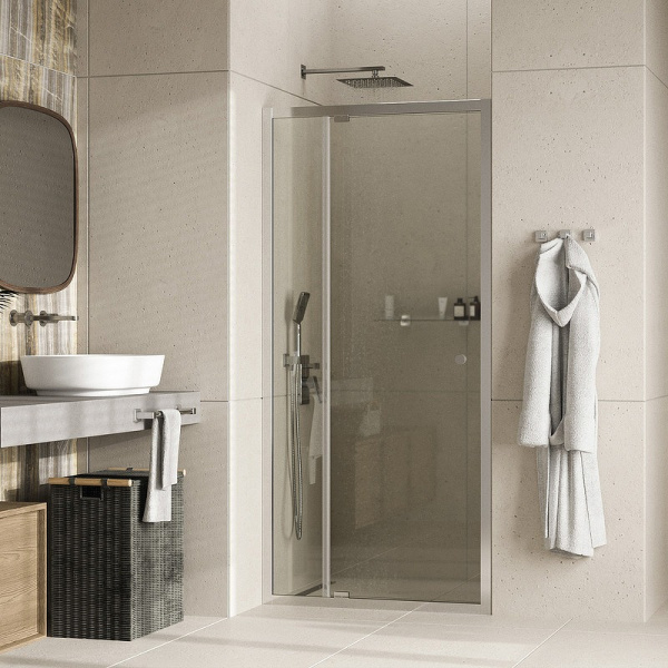 Душевая дверь WasserKRAFT Aula 100 11P12