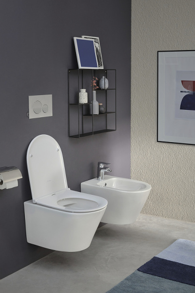 Сиденье для унитаза Jacob Delafon Rodin+ E23280-00