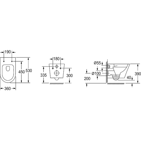 Унитаз подвесной безободковый Jacob Delafon Rodin+ EDY102-00 подвесной без сиденья