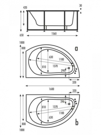 Акриловая ванна Vagnerplast Corona VPBA168CRN3LX-04