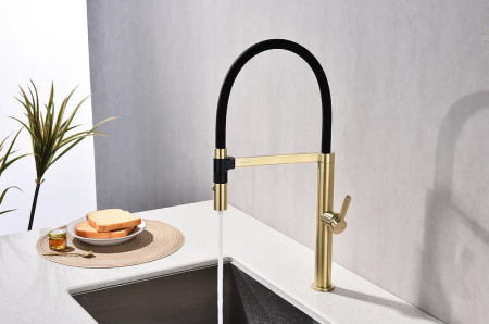 Смеситель для кухни Paulmark Leader Le214101-SBG