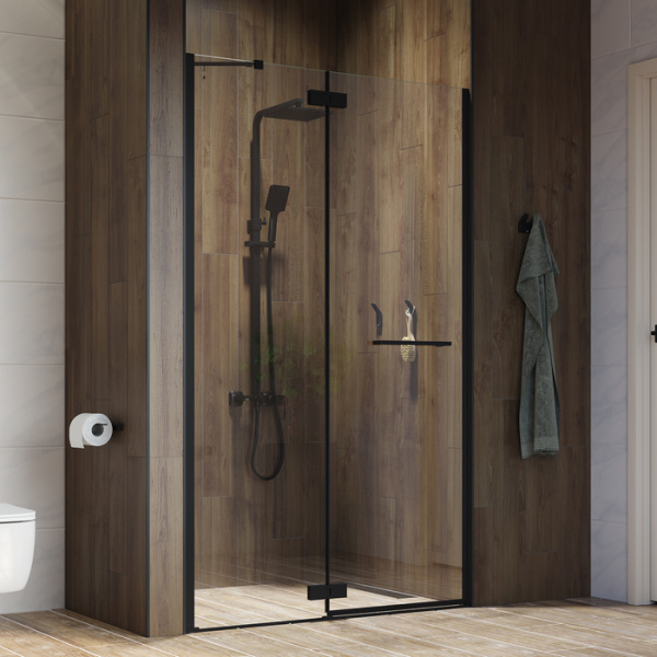 Душевая дверь IDDIS Slide (SLI6BH1i69)