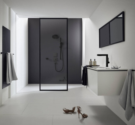 Верхний душ Hansgrohe Pulsify 260 2jet 24150670, черный матовый