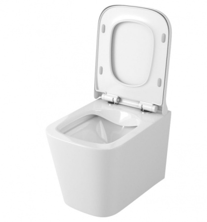 Унитаз подвесной безободковый OWL Vatter Ruta-H mini с сиденьем DP микролифт OWLT190403