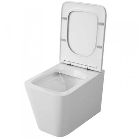 Унитаз подвесной безободковый OWL 1975 Vatter Ruta-H с сиденьем DP микролифт OWLT190401