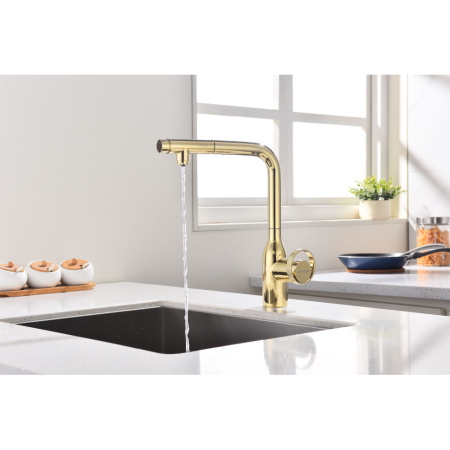 Смеситель для кухни с подключением к фильтру  Paulmark Urban Ur213104-G