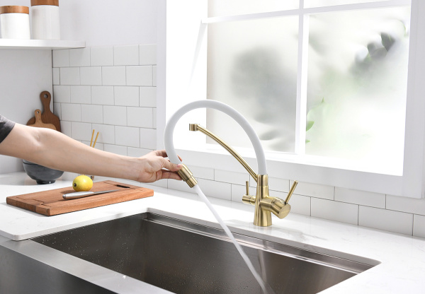 Смеситель для кухни с подключением к фильтру  Paulmark Siеgen Si213111-BrW