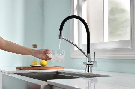 Смеситель для кухни с подключением к фильтру  Paulmark Siеgen Si213111-CR