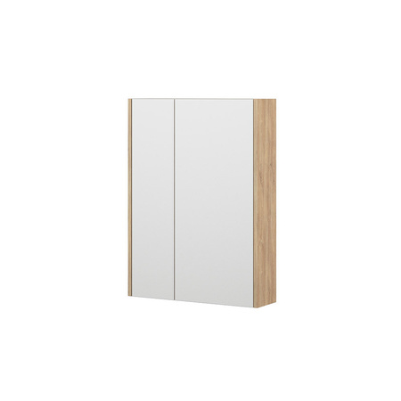Зеркальный шкаф (60х70) Corozo Дино 60 SD-00001499
