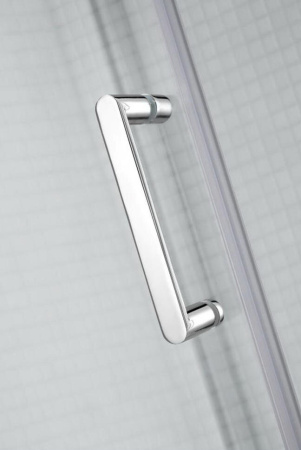 Душевой уголок (100х100) RUSH Palm PI-A1100100