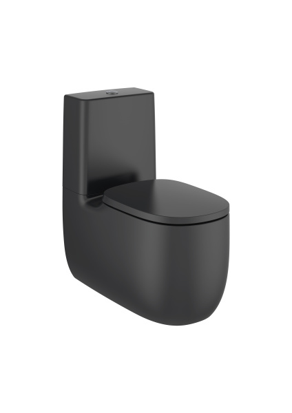 Унитаз напольный безободковый Roca Beyond  Rimless 3420B9640 оникс матовый