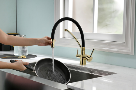 Смеситель для кухни с подключением к фильтру  Paulmark Siеgen Si213111-G