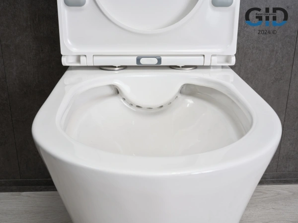 Напольный унитаз с бачком  безободковый Gid Tn2124 белый глянец