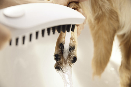 Ручной душ для мытья собак Hansgrohe DogShower 26640700 белый матовый