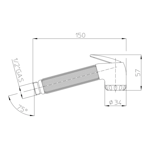 Гигиеническая лейка Bossini Nikita B00650.030 хром