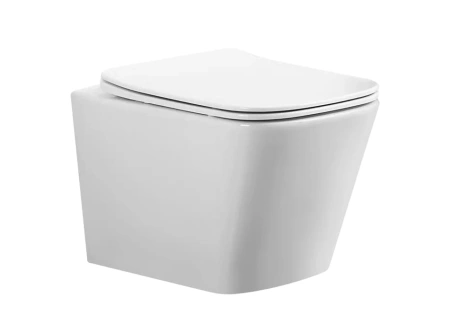 Подвесной унитаз безободковый Gid Tr2143