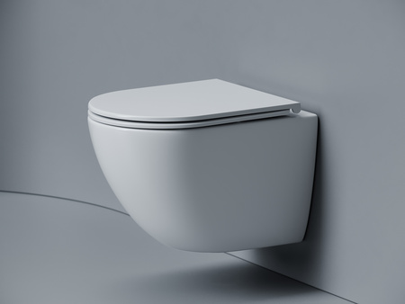 Унитаз подвесной Ceramicanova Alba торнадо 3.0 CN11005T сиденье микролифт 