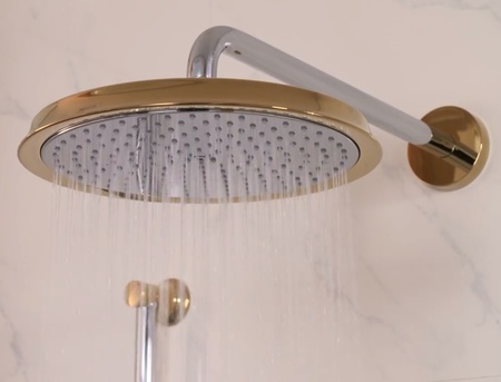 Верхний душ с кронштейном Hansgrohe Raindance Classic 270 1jet 27424090 золото/хром