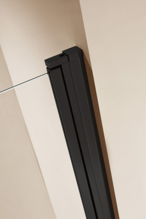 Душевая дверь (80х190) CEZARES ECO ECO-O-B-1-80-C-NERO